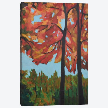 Fall Beauty Canvas Print #PPO8} by Alison Philpotts Canvas Art Print