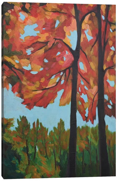 Fall Beauty Canvas Art Print - Alison Philpotts