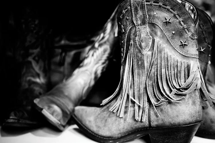 Made For Walkin' Black And White by Apryl Roland wall art