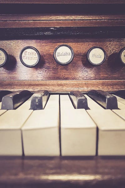 Sepia Photography: Melodia II by Apryl Roland