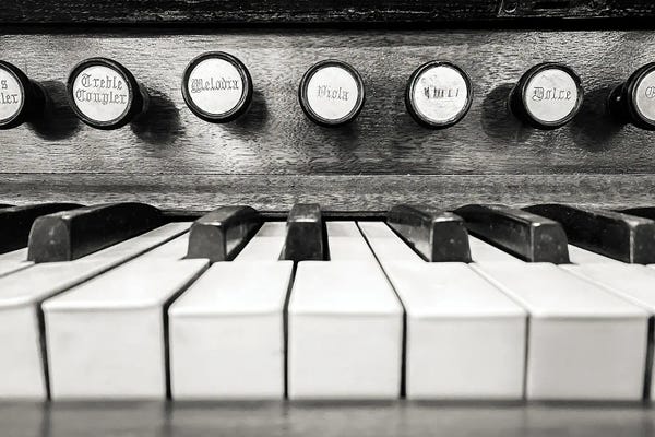 Still Life Photography: Melodia Black And White by Apryl Roland