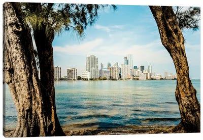 Miami Sky Canvas Art Print - Miami Skylines