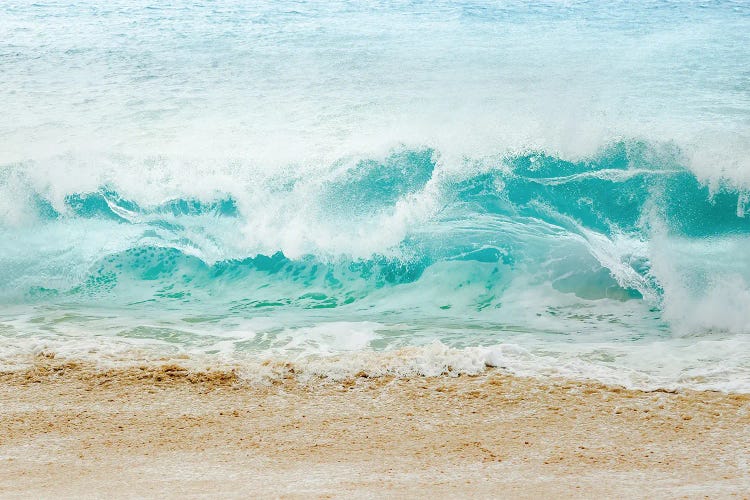 Blue Crush by Apryl Roland wall art