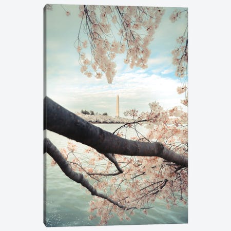 Monument Blossom Canvas Print #PPU136} by Apryl Roland Canvas Art