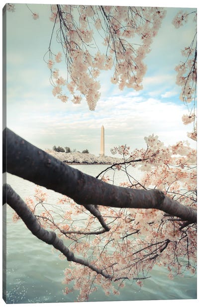 Monument Blossom Canvas Art Print - Washington D.C. Art