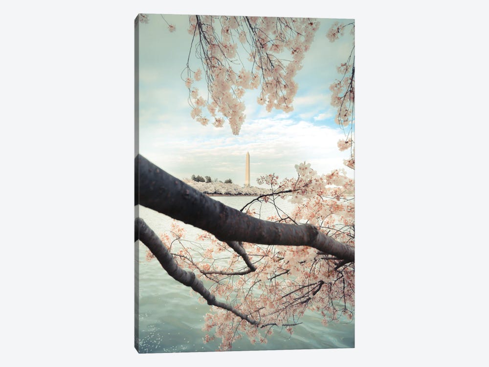 Monument Blossom by Apryl Roland 1-piece Canvas Art