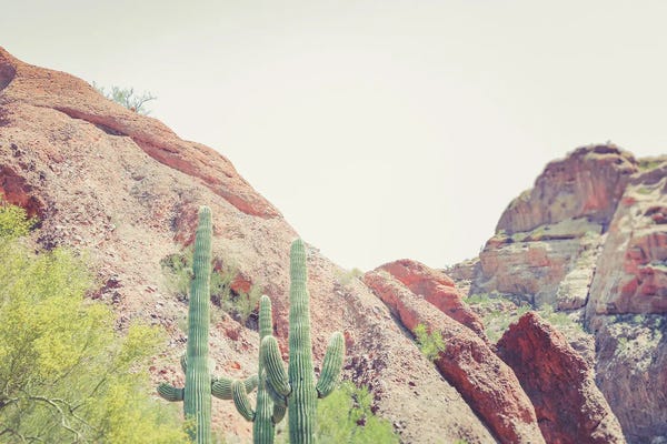 Phoenix: Camelback by Apryl Roland