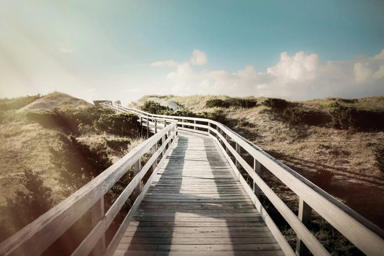 Boardwalk by Apryl Roland wall art