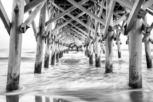 South Carolina: Peer Inside Black And White by Apryl Roland