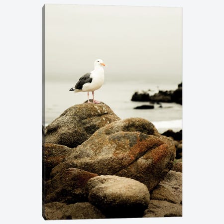 Perched Canvas Print #PPU161} by Apryl Roland Canvas Wall Art