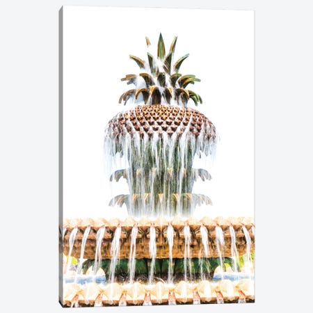 Pineapple In The Park Canvas Print #PPU166} by Apryl Roland Canvas Print