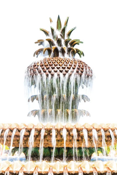 Fountains: Pineapple In The Park by Apryl Roland