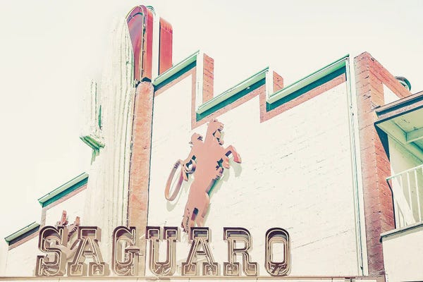 Palm Springs: Saguaro by Apryl Roland