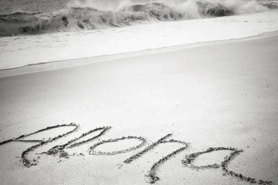 Sandy Beach by Apryl Roland art print