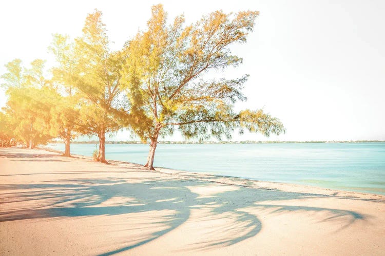 Sanibel