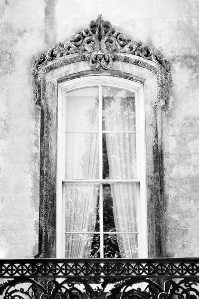 Savannah Window by Apryl Roland canvas print