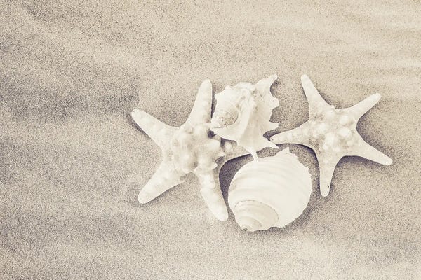 Starfish: Starstruck by Apryl Roland