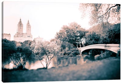 Sunday In The Park Canvas Art Print - Sepia Photography