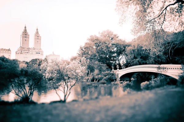 Canvas Print: Sunday In The Park by Apryl Roland