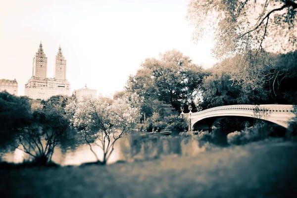 Canvas Print: Sunday In The Park II by Apryl Roland
