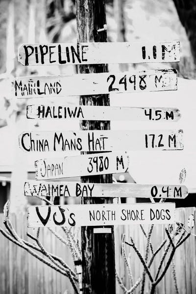 Hawaii: That Way Black And White by Apryl Roland