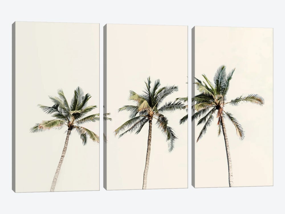 3 Palms by Apryl Roland 3-piece Art Print