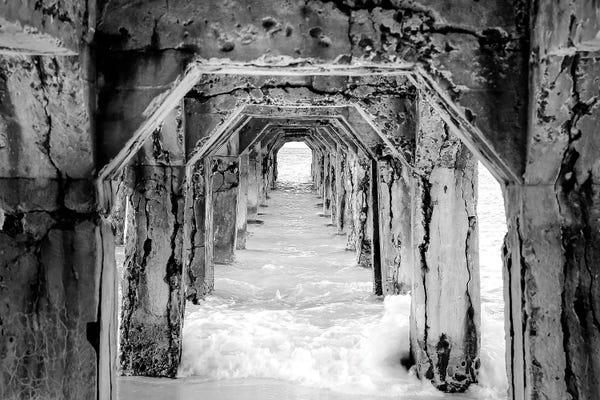 Caribbean: Caribbean Pier Bw by Apryl Roland