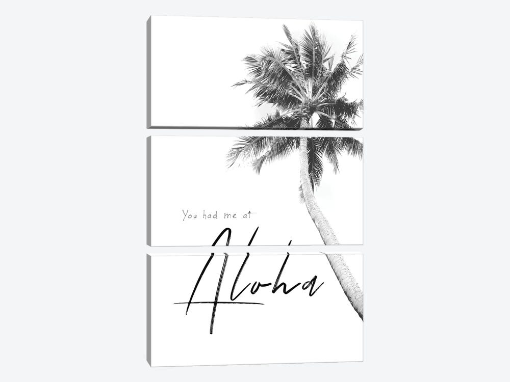 Had Me At Aloha by Apryl Roland 3-piece Art Print