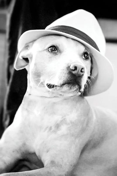 Fashion Photography: Ella by Apryl Roland