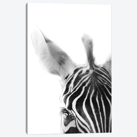 Zebra Canvas Print #PPU261} by Apryl Roland Canvas Art Print