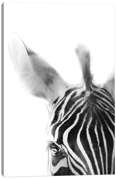 Zebra Canvas Art Print - Apryl Roland