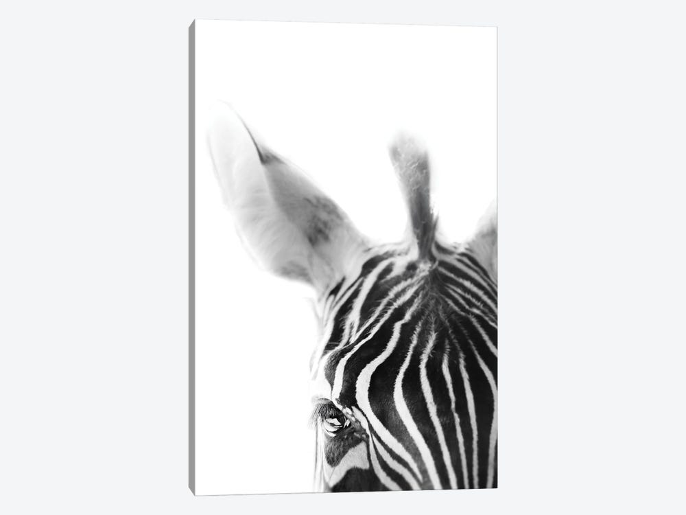Zebra by Apryl Roland 1-piece Canvas Wall Art