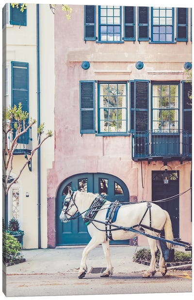 White Horse Charleston Canvas Art Print - Carriage & Wagon Art