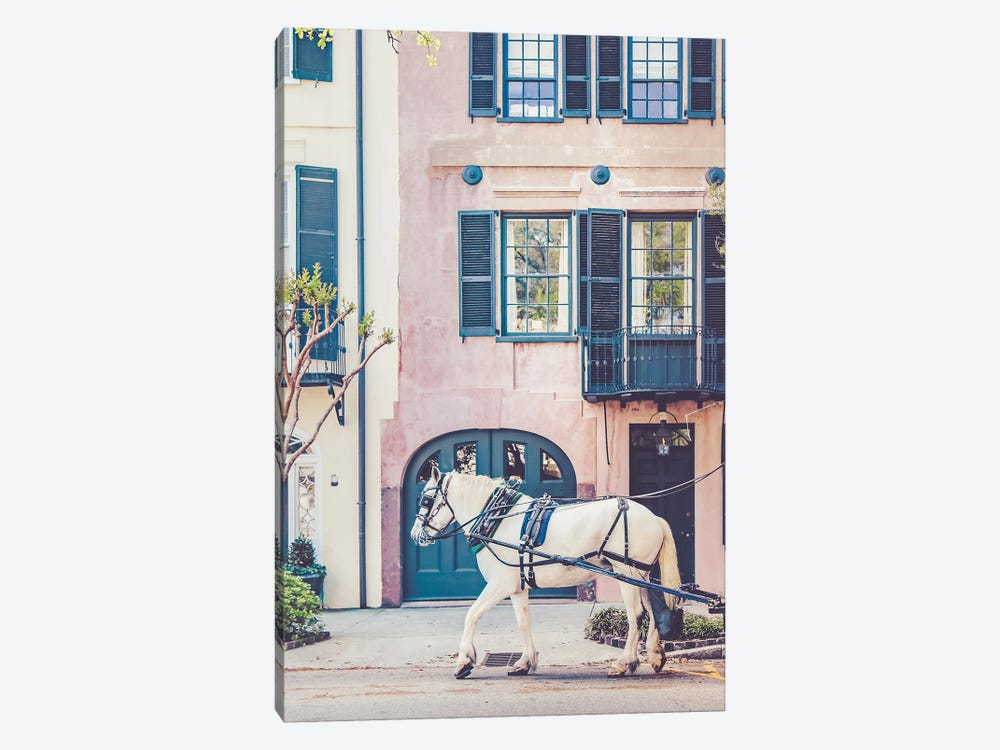 White Horse Charleston by Apryl Roland 1-piece Canvas Wall Art
