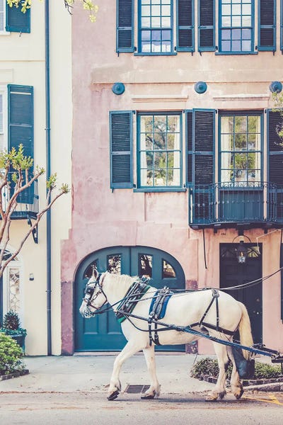 South Carolina: White Horse Charleston by Apryl Roland