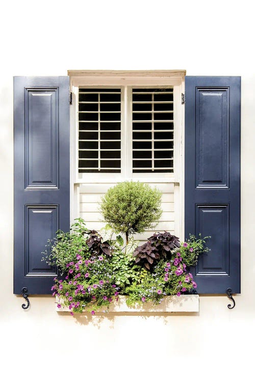 The Window Box by Apryl Roland wall art