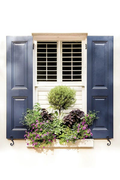 South Carolina: The Window Box by Apryl Roland