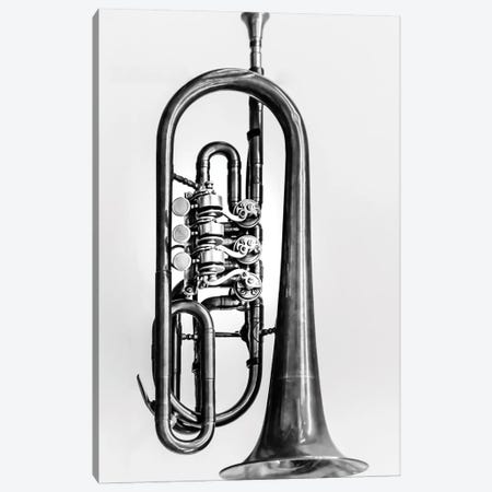 Trumpet Canvas Print #PPU279} by Apryl Roland Canvas Art