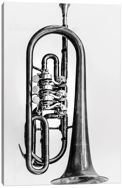 Trumpet Canvas Art Print - Still Life Photography