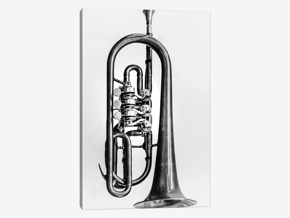 Trumpet by Apryl Roland 1-piece Canvas Print