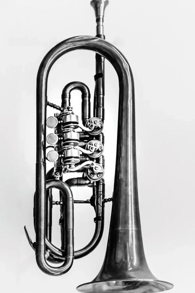 Apryl Roland: Trumpet by Apryl Roland