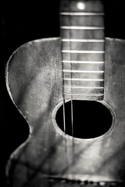 Two Strings Black And White by Apryl Roland gallery poster