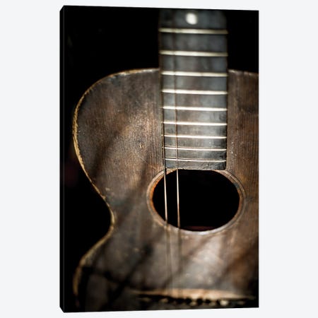 Two Strings Canvas Print #PPU282} by Apryl Roland Art Print