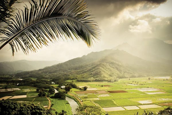 Hawaii: Vert by Apryl Roland