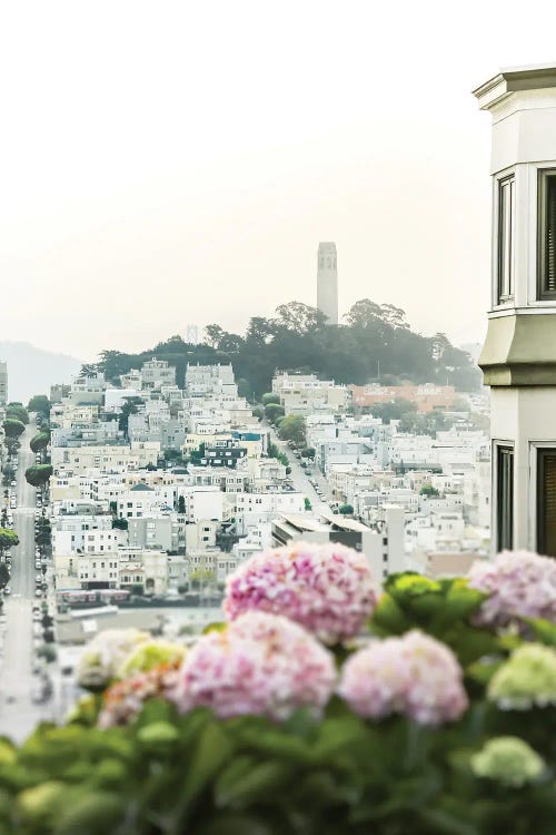 View On Coit