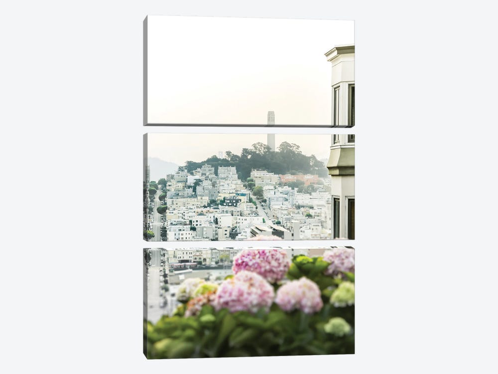 View On Coit by Apryl Roland 3-piece Canvas Art