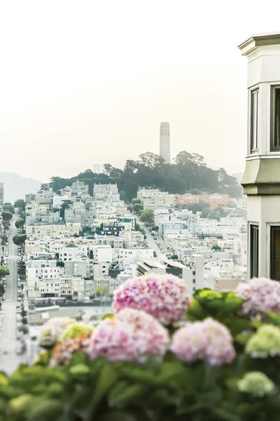Coastal Villages & Towns: View On Coit by Apryl Roland