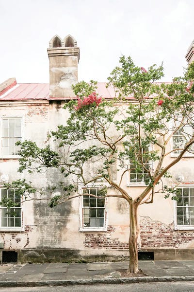 South Carolina: Weathered Beauty by Apryl Roland