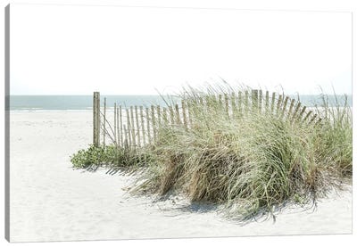 Weathered Dunes Canvas Art Print - Sandy Beach Art