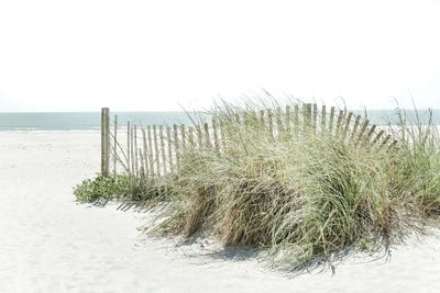 Coastal Sand Dunes